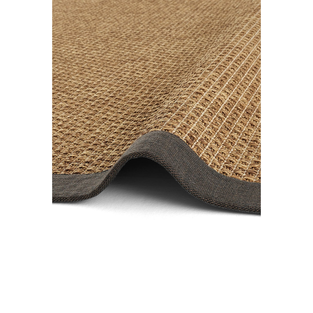 Brown Plain,Bordered,Flatweave Living Room Rug, Machine Made using Polypropylene and Modern design