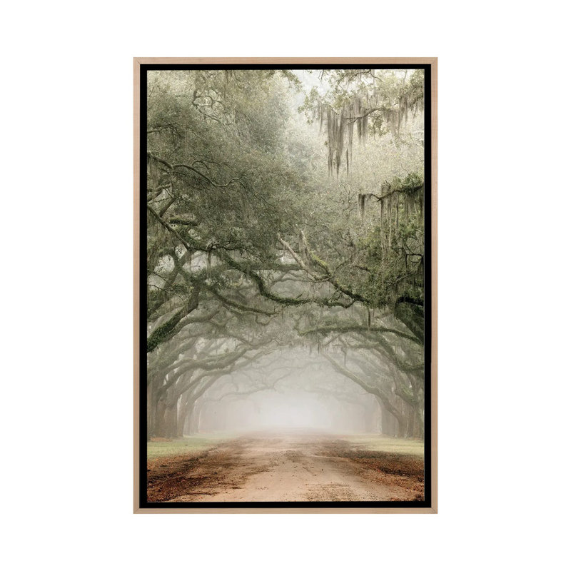 Plantation Drive, Natural Wood Floater Framed Canvas, 60" H x 40" W x 1.5" D