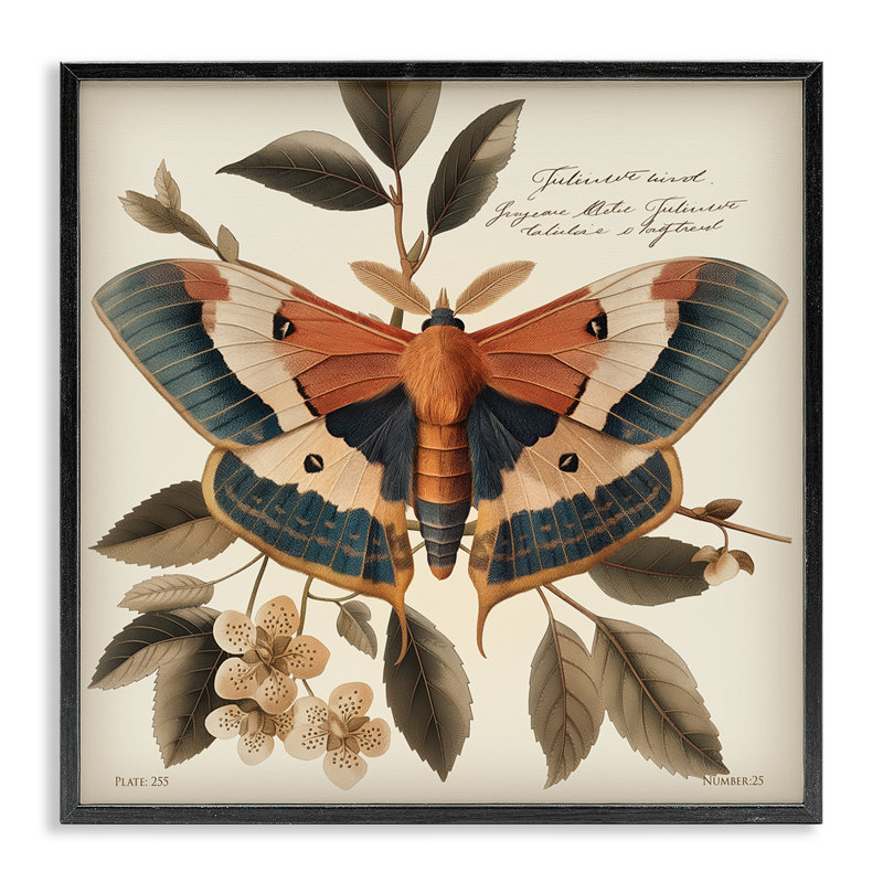 «Enchanting Moth & Plant», estampe numérique encadrée par Steve Huntziker, Giclée encadrée noir minuit, H 12 po x l 12 po