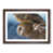 Walnut selected