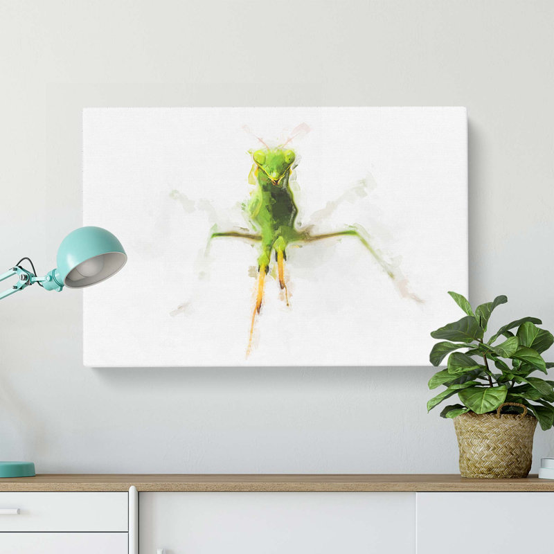 Praying Mantis In Abstract - Wrapped Canvas, 40cm H x 60cm W x 3cm D