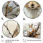 Brown Squirrel Curious Observer II - Animals Wall Art Living Room-1980515345-1980515344