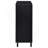 2-Door Storage Cabinet-1769763107