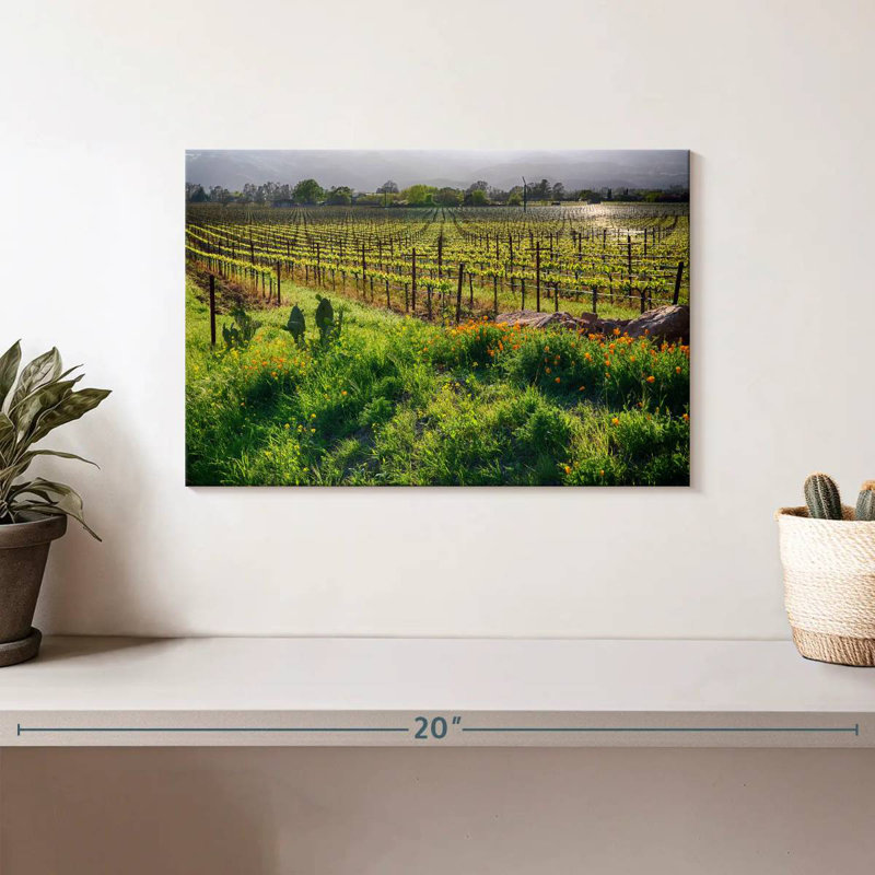 Alvord Sunrise In The Vineyard, H 8 po x l 12 po