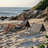 SUNJOY Portable Beach Mat with Adjustable Backrest for Adults (Set of 2) - -112535395