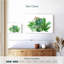 Plantes grasses Harnek-107700857