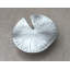 Botanical Novelty Knob-15836120
