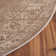 Evanoff Taupe Area Rug