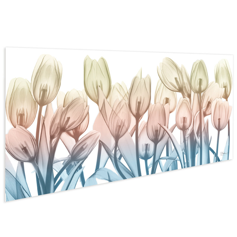 «Spring Blooms» par Albert Koetsier - reproduction de photo non encadrée sur verre