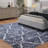 Ajahnay Moroccan Indoor Rug-2047178032