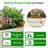 Annamae Metal Raised Garden Bed-374776423