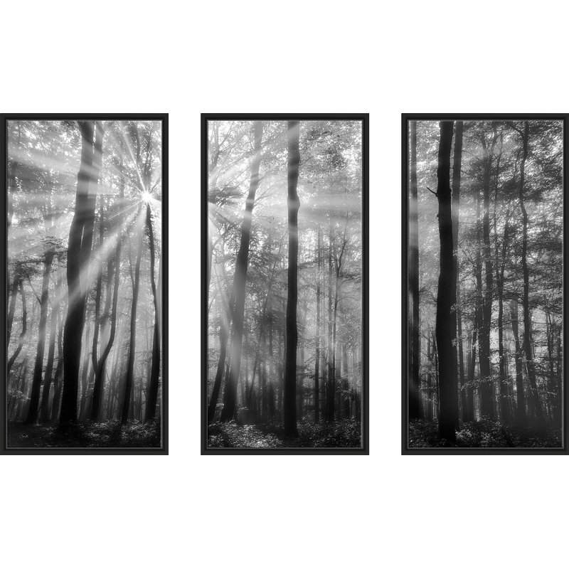 "Breaking Through" par Irene Weisz, reproduction sur toile flottante 3 pièces, H 41,5 po x l 64,5 po x P 2 po