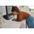 LG Mega Capacity Smart Top Load Washer with Impeller, EasyUnload & AI Sensing, 5.5 cu. ft.-101056656