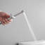 Bidet à main-102585265
