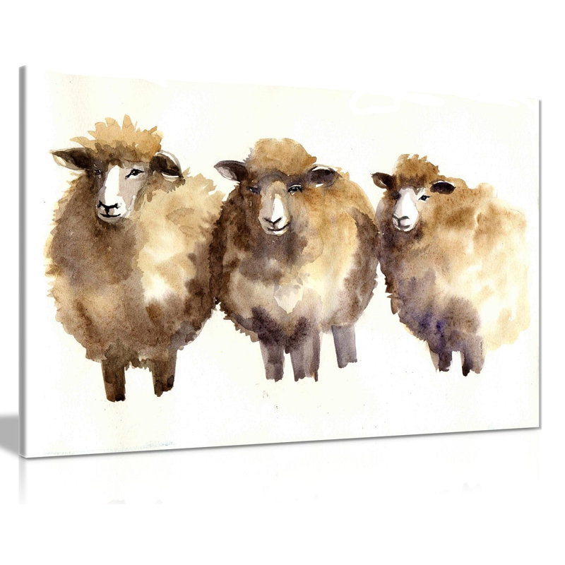 Sheep Animal Reproduction - Wrapped Canvas Print, 41cm H x 61cm W