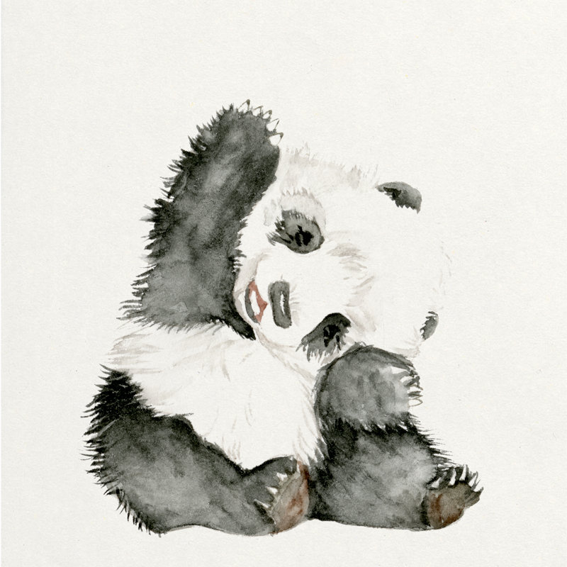 Baby Panda I by Melissa Wang - Wrapped Canvas Painting, 30cm H x 30cm W