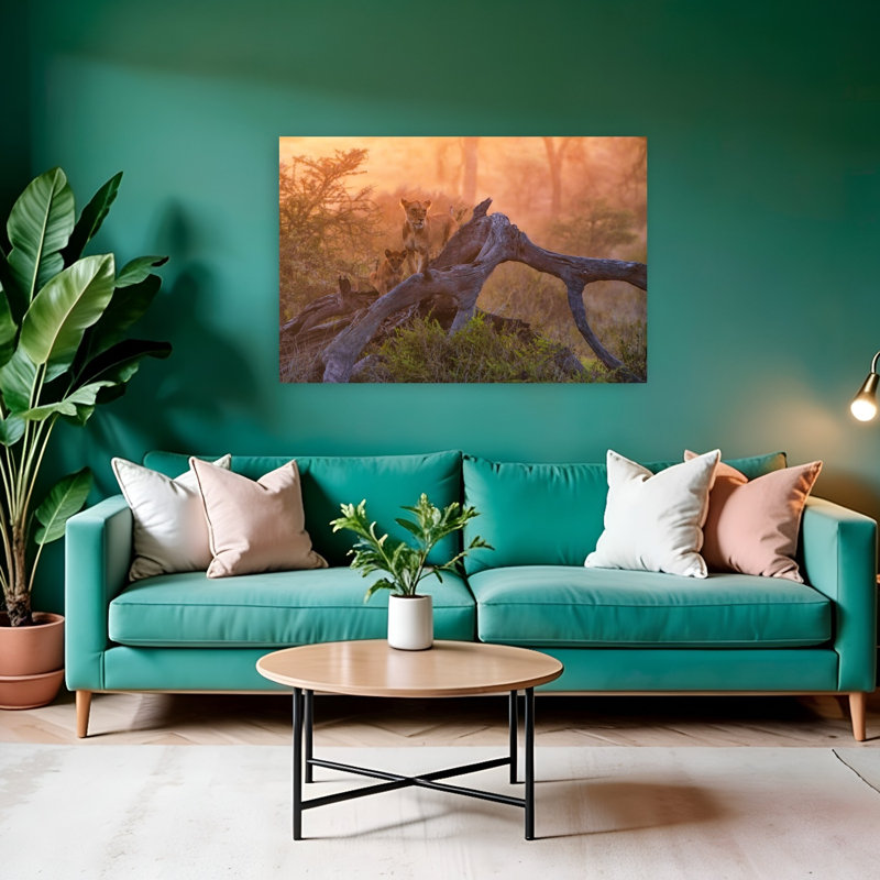 Golden Hour African Lions Peaceful Serene Abstract Cat Lion Nature Sunset Wall Art Print 1 Piece Wrapped Canvas Wall Art