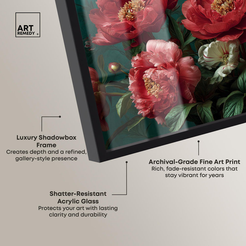 Pivoine opulence rose, H 11 po x l 16 po, Noir