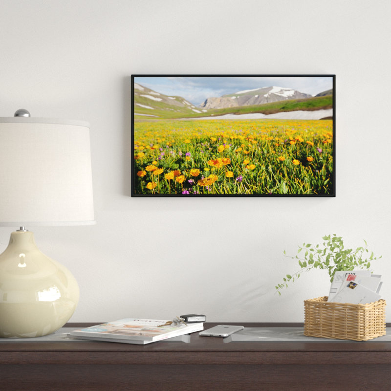 " Mountain Plain With Wild Yellow Flowers ", 12" H x 20" W x 1" D