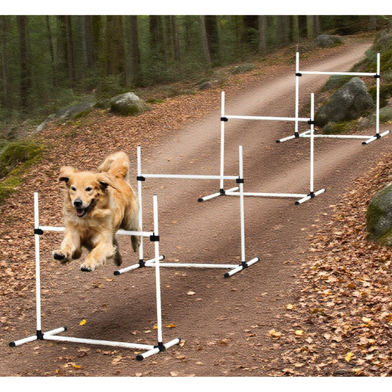 Canapé réglable pour 4 sauts d'agilité pour parcours, barre inférieure fixe pour différentes surfaces, équipement blanc, livré avec sac de transport, trousse de démarrage de 39 po de longueur, 25,5 po de largeur et 37 po de hauteur