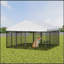 Grand enclos pour chien chenil pour l'extérieur L 9,62 po x l 9,35 po x H 6,18 po.