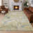 Machine Washable Indoor/Outdoor Chantille ACN2748 Paisley Rug-1992006199-1992006201