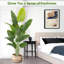 Rontez Faux Plant-2043113624