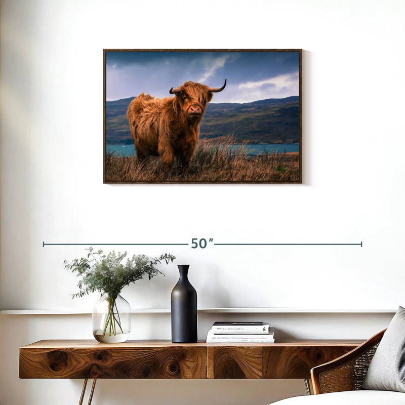 Grande vache Highland, Cadre flottant en noyer, 31 po x 21 po