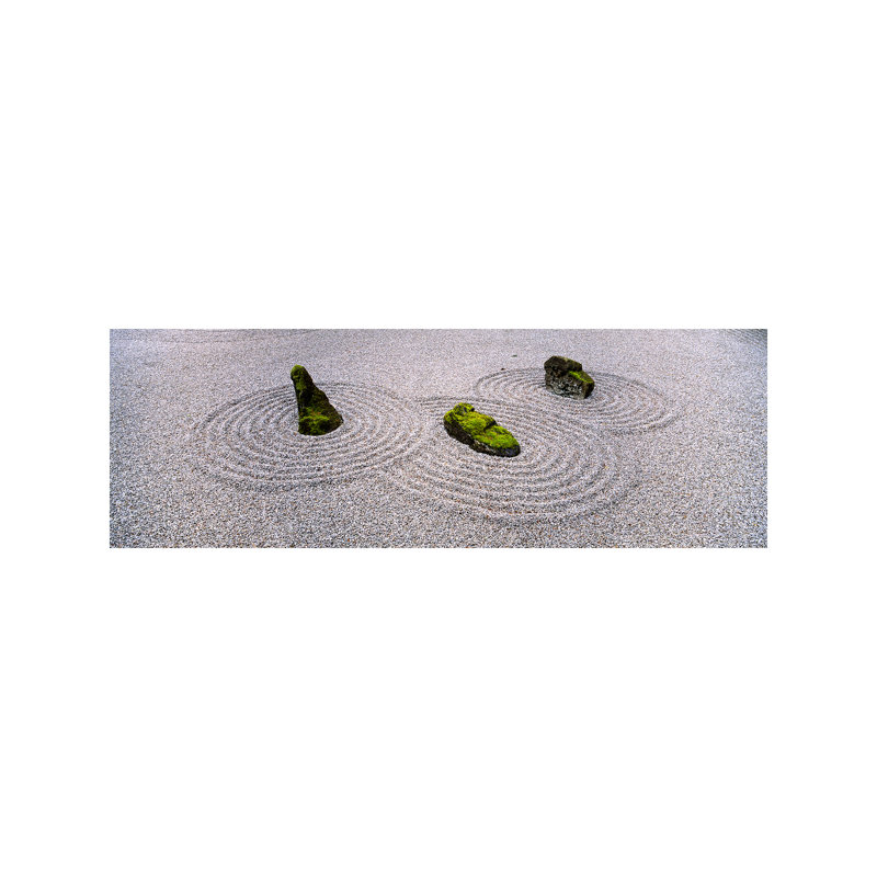 High Angle View Of Moss On Three Stones In A Zen Garden, Washington Park, Portland, Oregon, Usa by Panoramic Images - No Frame Panoramic Print on Canvas