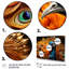 Gros plan sur un paon - animaux, impressions sur toile-1343792389-1343792442