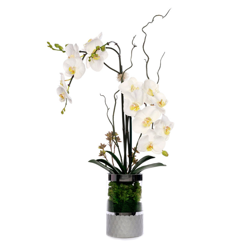 Arrangement dans un vase