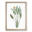 Bird of Paradise Flower by Pierre-Joseph Redoute - Picture Frame Painting Print-55501136-55501137