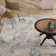 Anwen Performance Indoor Rug