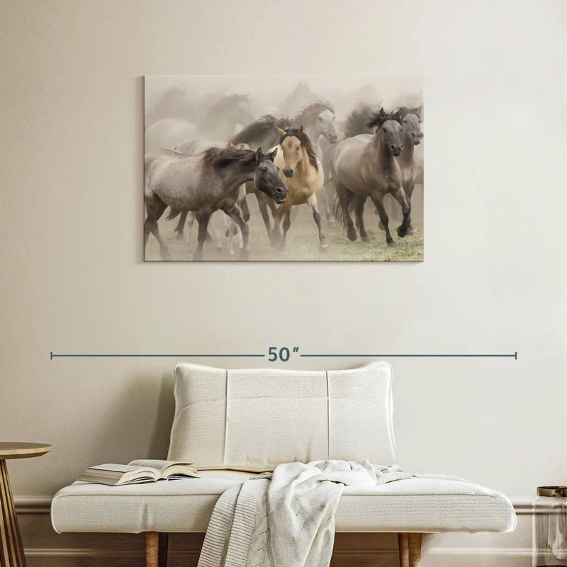 Stampede à cheval sauvage Brampt