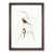 Walnut Framed selected