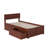 Daurice Solid Wood Platform Bed with Panel Footboard & Storage Drawers-352388337-364139124