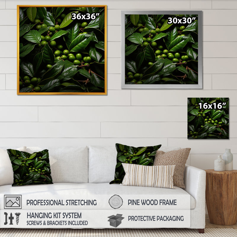 " Tropical Robusta Palm Rhythms ", Black Single Picture Framed, 24" H x 24" W x 1" D