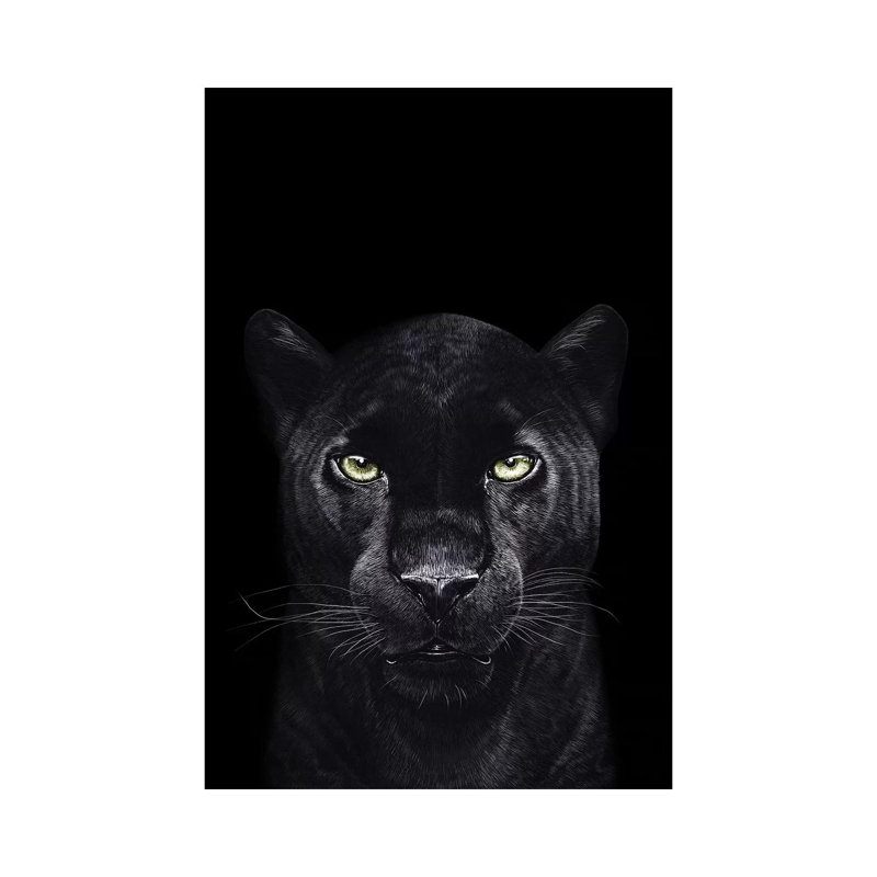 The Panther On Black by Valeriya Korenkova - Wrapped Canvas Print, 20.32 cm H x 30.48 cm W