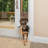 Freedom Patio Panel-53501607-53501608