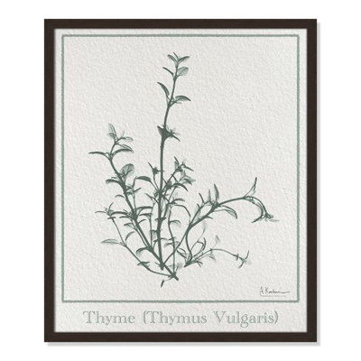 Jeanette "Thymus Vulgaris" Print