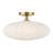 Mason 1-Light Ceiling Light in Natural Brass-1068367311