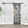 3-Lite Frosted Glass and Solid Manufactured Wood Sliding Barn Door with Installation Hardware Kit