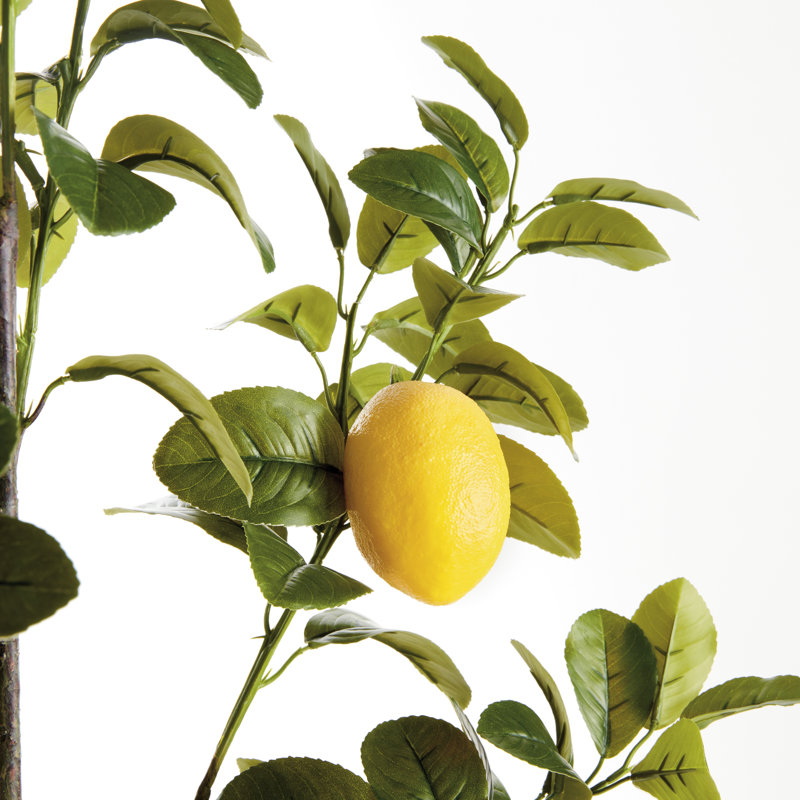 FAUX LEMON BRANCHES 43 po, ENSEMBLE DE 2
