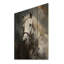 White Horse équestre dualité III - impression sans cadre sur bois-1243249804