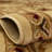 Debora Oriental Area Rug-1750281528-1854781241