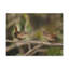 No Frame Print on Canvas-1568945756