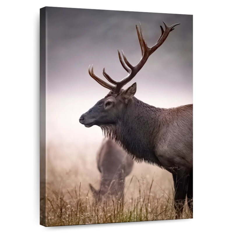 Brampt Mighty Bull Elk, 48" H x 32" W