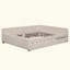 Lit plateforme tapissier avec port USB et lit gigogne simple