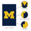 Applique du drapeau, Reg, Université du Michigan
