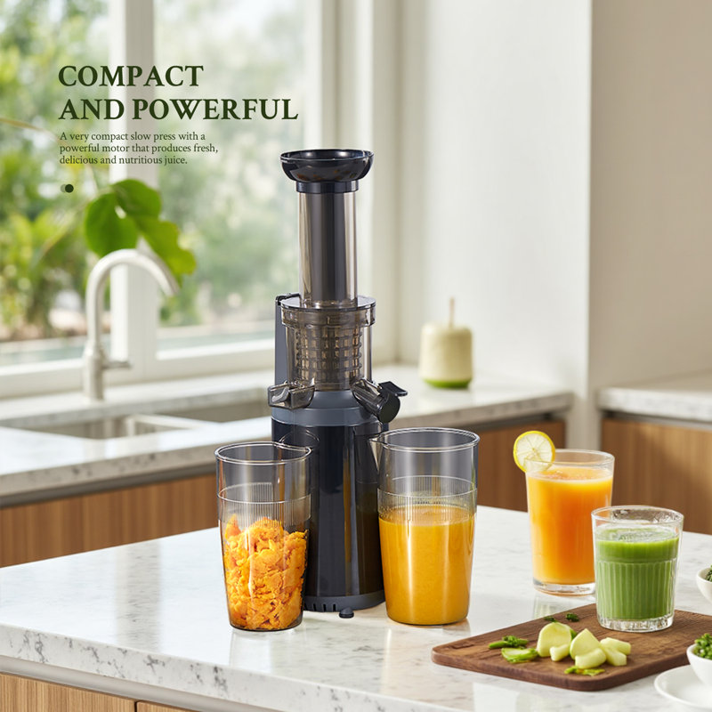 Compact Masticating Slow Juicer - Cold Press Technology for Maximum Nutrients, Easy to Clean & Assemble (Black), Black